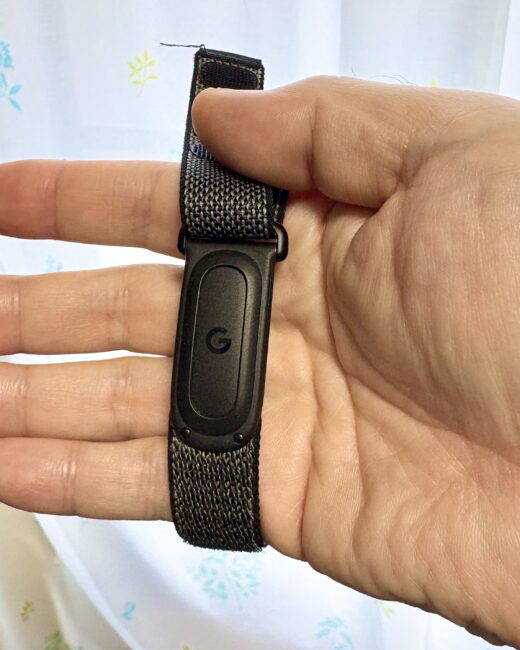 手のひらに乗せたGoogle Fitbit Air。手の大きさとの対比でサイズが分かる