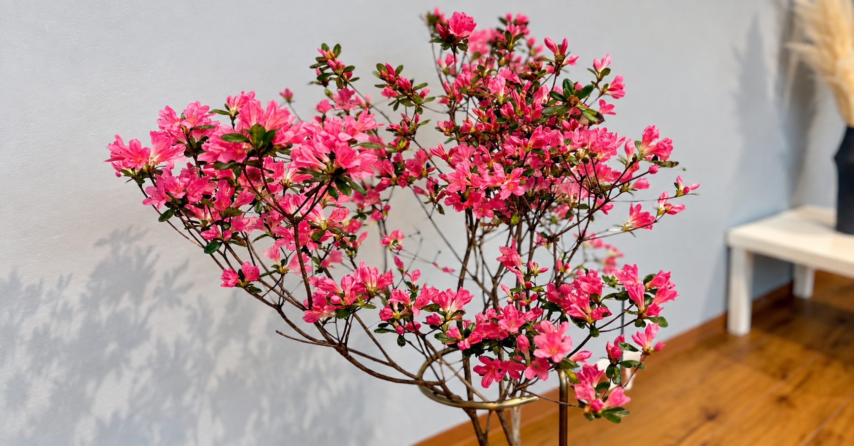 鉢に生けられたピンク色のツツジの花のクローズアップ写真